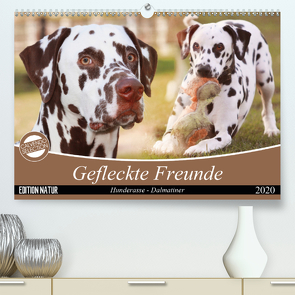 Gefleckte Freunde – Hunderasse Dalmatiner (Premium, hochwertiger DIN A2 Wandkalender 2020, Kunstdruck in Hochglanz) von Mielewczyk,  Barbara