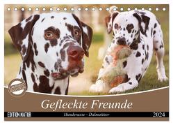 Gefleckte Freunde – Hunderasse Dalmatiner (Tischkalender 2024 DIN A5 quer), CALVENDO Monatskalender von Mielewczyk,  Barbara