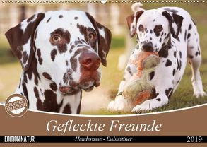 Gefleckte Freunde – Hunderasse Dalmatiner (Wandkalender 2019 DIN A2 quer) von Mielewczyk,  Barbara