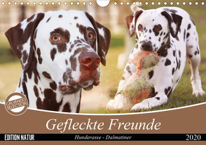 Gefleckte Freunde – Hunderasse Dalmatiner (Wandkalender 2020 DIN A4 quer) von Mielewczyk,  Barbara