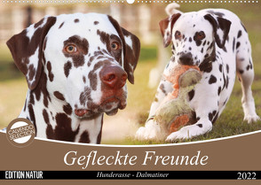 Gefleckte Freunde – Hunderasse Dalmatiner (Wandkalender 2022 DIN A2 quer) von Mielewczyk,  Barbara