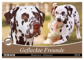 Gefleckte Freunde – Hunderasse Dalmatiner (Wandkalender 2024 DIN A2 quer), CALVENDO Monatskalender von Mielewczyk,  Barbara