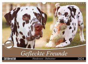 Gefleckte Freunde – Hunderasse Dalmatiner (Wandkalender 2024 DIN A3 quer), CALVENDO Monatskalender von Mielewczyk,  Barbara