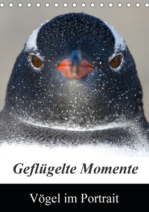 Geflügelte Momente – Vögel im Portrait (Tischkalender 2021 DIN A5 hoch) von Schlögl,  Brigitte