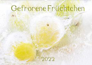 Gefrorene Früchtchen (Wandkalender 2022 DIN A2 quer) von Scheurer,  Monika