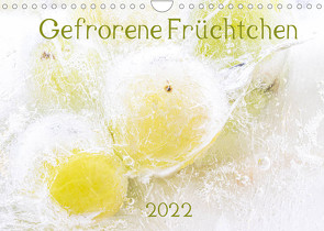 Gefrorene Früchtchen (Wandkalender 2022 DIN A4 quer) von Scheurer,  Monika