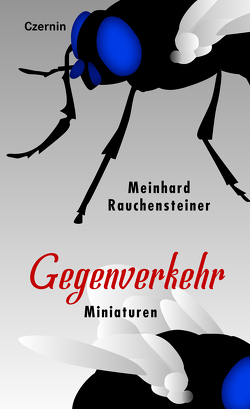 Gegenverkehr von Rauchensteiner,  Meinhard