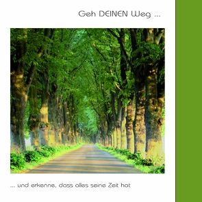 Geh DEINEN Weg… von Meyer,  Ellen