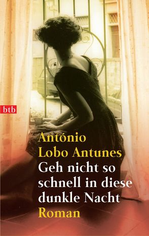 Geh nicht so schnell in diese dunkle Nacht von Lobo Antunes,  António, Meyer-Minnemann,  Maralde