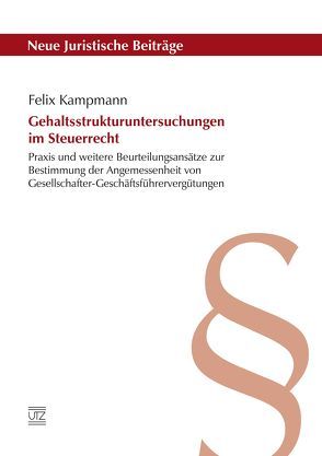 Gehaltsstrukturuntersuchungen im Steuerrecht von Kampmann,  Felix