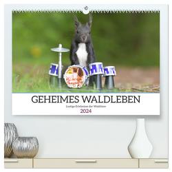 Geheimes Waldleben (hochwertiger Premium Wandkalender 2024 DIN A2 quer), Kunstdruck in Hochglanz von Süss,  Sylvia