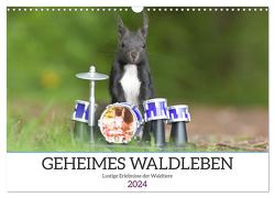 Geheimes Waldleben (Wandkalender 2024 DIN A3 quer), CALVENDO Monatskalender von Süss,  Sylvia