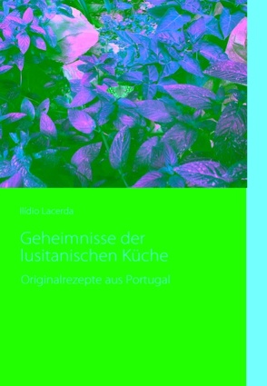 Geheimnisse der lusitanischen Küche von Lacerda,  Ilídio