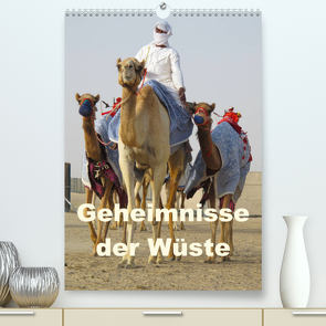 Geheimnisse der Wüste (Premium, hochwertiger DIN A2 Wandkalender 2023, Kunstdruck in Hochglanz) von zwayne/DMR/steckandose.com