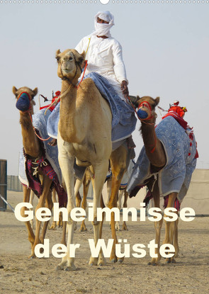 Geheimnisse der Wüste (Wandkalender 2023 DIN A2 hoch) von zwayne/DMR/steckandose.com