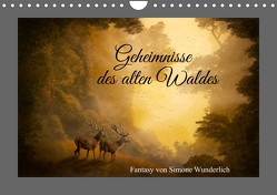 Geheimnisse des alten Waldes (Wandkalender 2024 DIN A4 quer) von N.,  N.