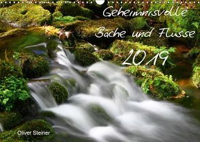 Geheimnisvolle Bäche und Flüsse (Wandkalender 2019 DIN A3 quer) von Steiner,  Oliver