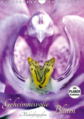 Geheimnisvolle Blüten Makrofotografien (Wandkalender 2018 DIN A4 hoch) von Marten,  Martina