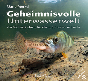 Geheimnisvolle Unterwasserwelt von Merkel,  Mario