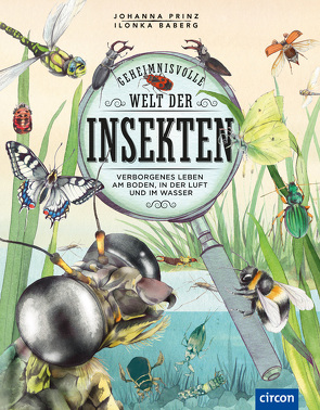 Geheimnisvolle Welt der Insekten von Baberg,  Ilonka, Prinz,  Dr. Johanna