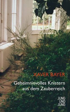 Geheimnisvolles Knistern aus dem Zauberreich von Bayer,  Xaver