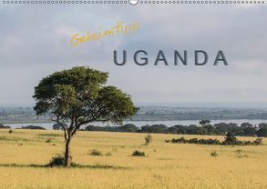 Geheimtipp Uganda (Wandkalender 2019 DIN A2 quer) von Irmer,  Roswitha