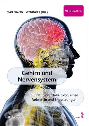 Gehirn und Nervensystem von Weninger,  Wolfgang J.