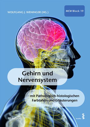 Gehirn und Nervensystem von Weninger,  Wolfgang