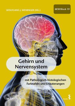 Gehirn und Nervensystem von Weninger,  Wolfgang