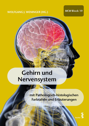 Gehirn und Nervensystem von Weninger,  Wolfgang