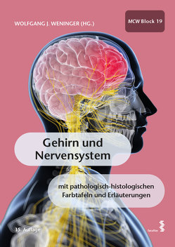 Gehirn und Nervensystem von Weninger,  Wolfgang