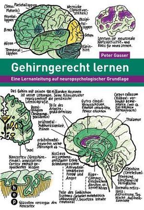 Gehirngerecht lernen (E-Book) von Gasser,  Peter