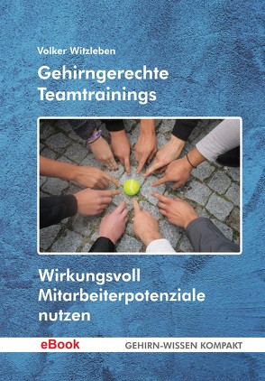 Gehirngerechte Teamtrainings (eBook) von Witzleben,  Volker