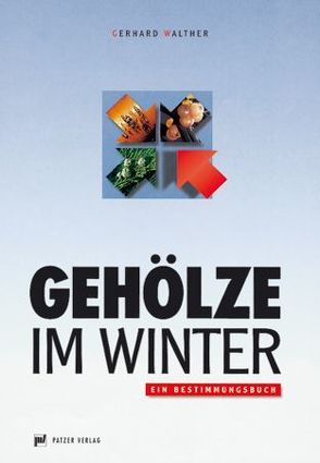Gehölze im Winter von Walther,  Gerhard