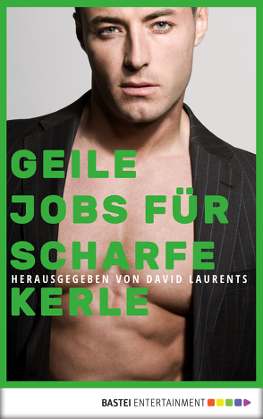 Geile Jobs für scharfe Kerle von Alexander,  Barry, Christian,  M., Currier,  Jameson, Evans,  David, Forster,  Phil, Jeffers,  Alex, Killian,  Kevin, Laurents,  David, McCabe,  Adam, Santi,  Dominic, Shewey,  Don