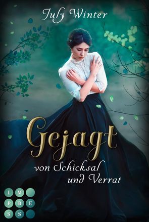 Gejagt von Schicksal und Verrat (Sturmwanderer 3) von Winter,  July