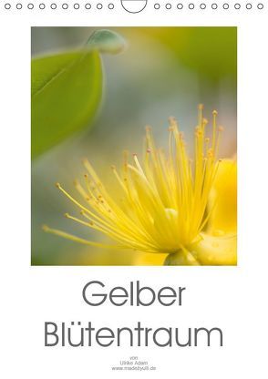Gelber Blütentraum (Wandkalender 2019 DIN A4 hoch) von Adam,  Ulrike
