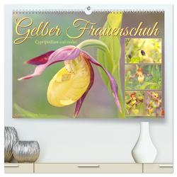 Gelber Frauenschuh (hochwertiger Premium Wandkalender 2024 DIN A2 quer), Kunstdruck in Hochglanz von Löwer,  Sabine