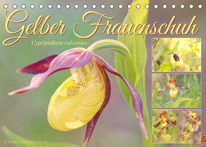 Gelber Frauenschuh (Tischkalender 2023 DIN A5 quer) von Löwer,  Sabine