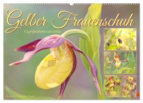 Gelber Frauenschuh (Wandkalender 2024 DIN A2 quer), CALVENDO Monatskalender von Löwer,  Sabine