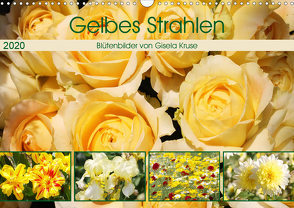 Gelbes Strahlen Blütenbilder (Wandkalender 2020 DIN A3 quer) von Kruse,  Gisela