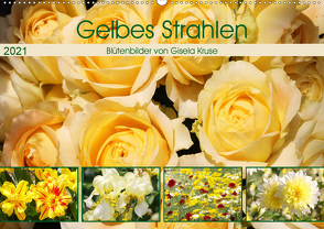 Gelbes Strahlen Blütenbilder (Wandkalender 2021 DIN A2 quer) von Kruse,  Gisela