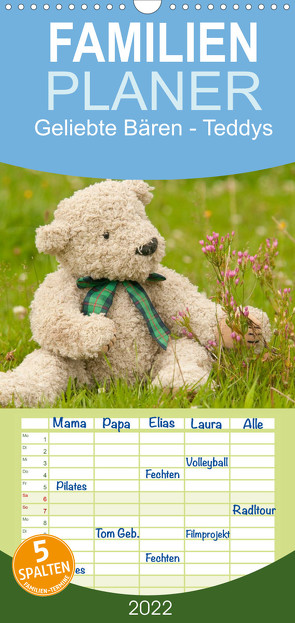 Geliebte Bären – Teddys – Familienplaner hoch (Wandkalender 2022 , 21 cm x 45 cm, hoch) von Bölts,  Meike