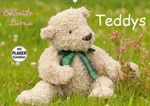 Geliebte Bären – Teddys (Wandkalender 2019 DIN A2 quer) von Bölts,  Meike