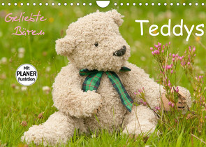 Geliebte Bären – Teddys (Wandkalender 2022 DIN A4 quer) von Bölts,  Meike