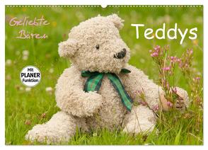 Geliebte Bären – Teddys (Wandkalender 2024 DIN A2 quer), CALVENDO Monatskalender von Bölts,  Meike
