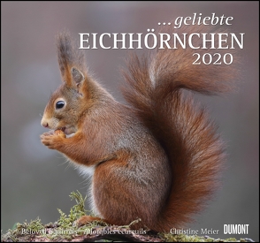 … geliebte Eichhörnchen 2020 – DuMont Wandkalender – mit den wichtigsten Feiertagen – Format 38,0 x 35,5 cm von DUMONT Kalenderverlag, Meier,  Christine