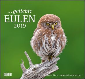… geliebte Eulen 2019 – DuMont Wandkalender – mit den wichtigsten Feiertagen – Format 38,0 x 35,5 cm von DUMONT Kalenderverlag, Fotografen,  verschiedenen