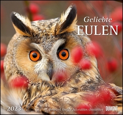 Geliebte Eulen 2023 – DUMONT Wandkalender – mit den wichtigsten Feiertagen – Format 38,0 x 35,5 cm