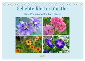 Geliebte Kletterkünstler (Tischkalender 2024 DIN A5 quer), CALVENDO Monatskalender von B-B Müller,  Christine